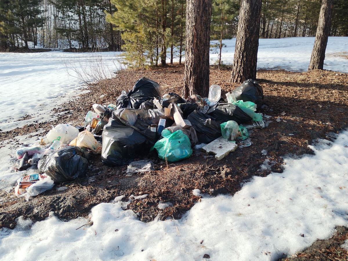 Текущее состояние прибрежной зоны