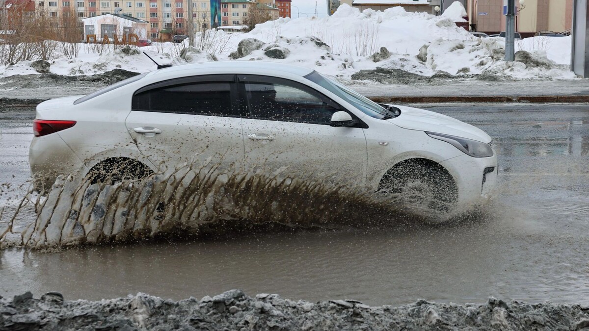    Фото: Андрей Ткачев/«Ямал-Медиа»