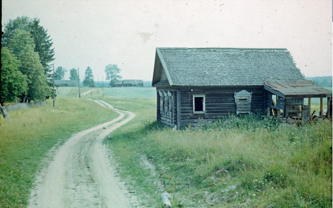 Брошенная деревня (Волегово / Баринцево), 1977. 