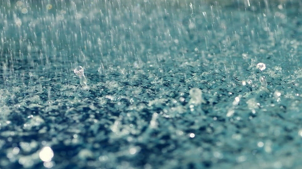 Фото: Пресс-служба ГУ МЧС по Краснодарскому краю