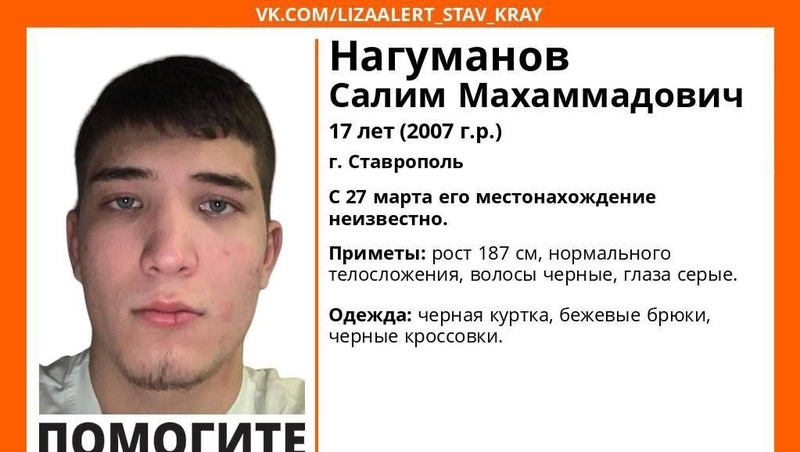      Фото: ПСО «ЛизаАлерт»