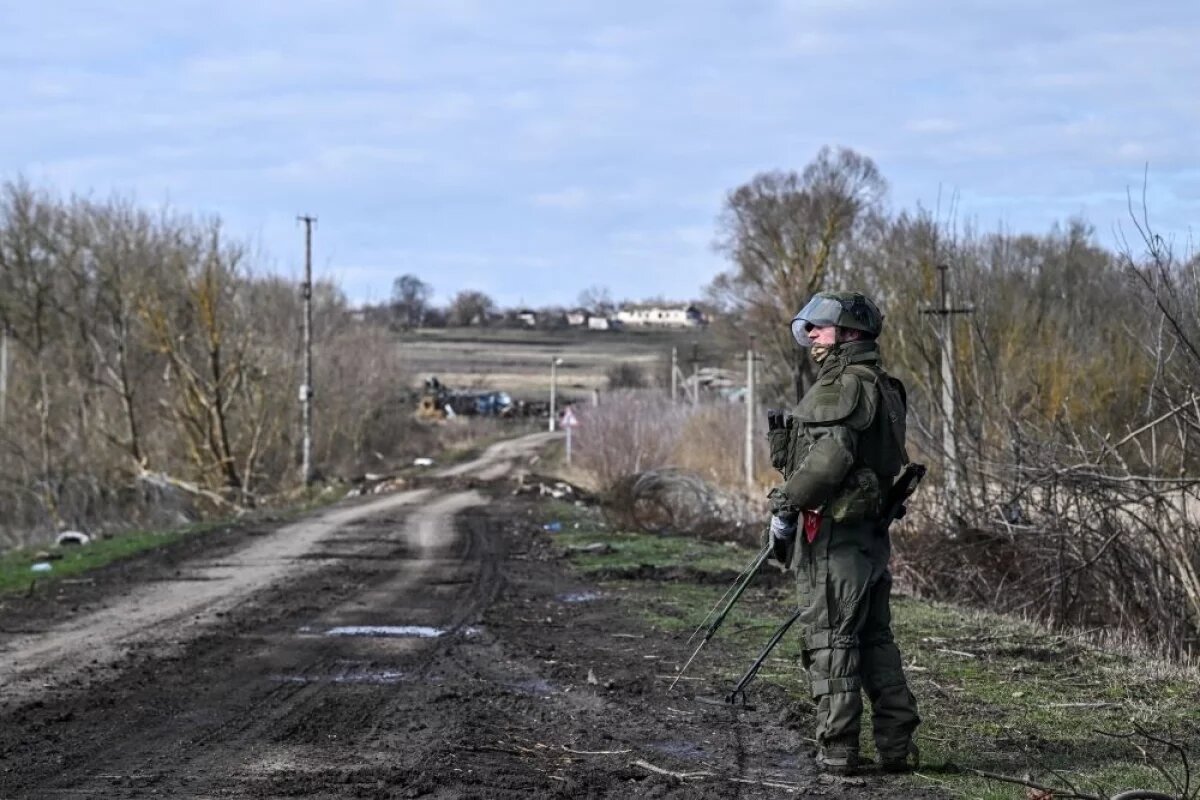    Разминирование территории в Курском приграничье.