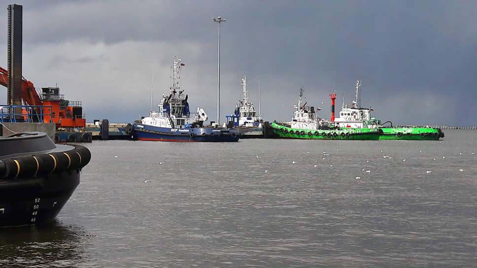 Фото: Александр Чиженок / Коммерсантъ