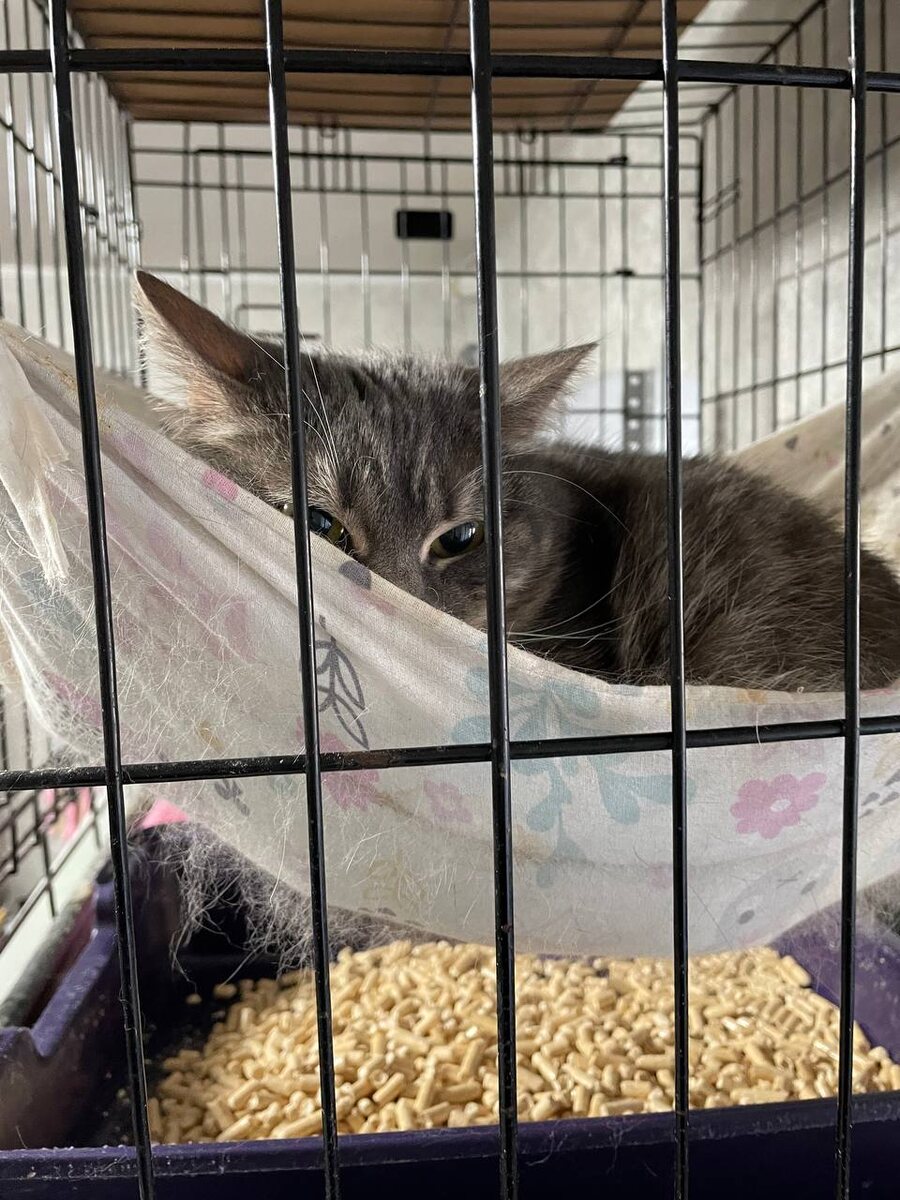 Фото из архива автора