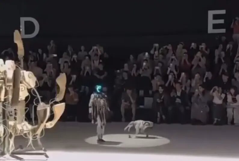    Фото: скриншот видео из соцсетей