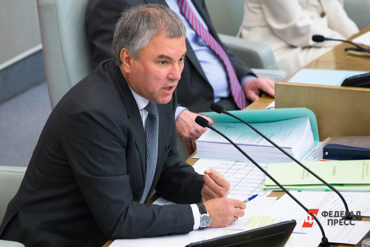 Володин давно предупреждал релокантов о неотвратимости наказания.  Фото: Фото: ФедералПресс / Елена Сычева