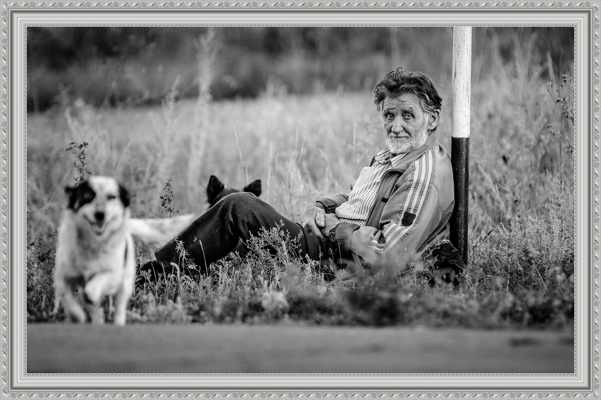 коллаж автора