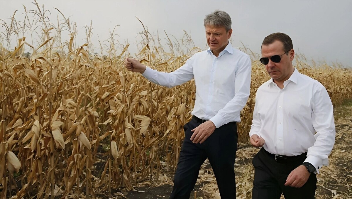     Источник: РИА Новости