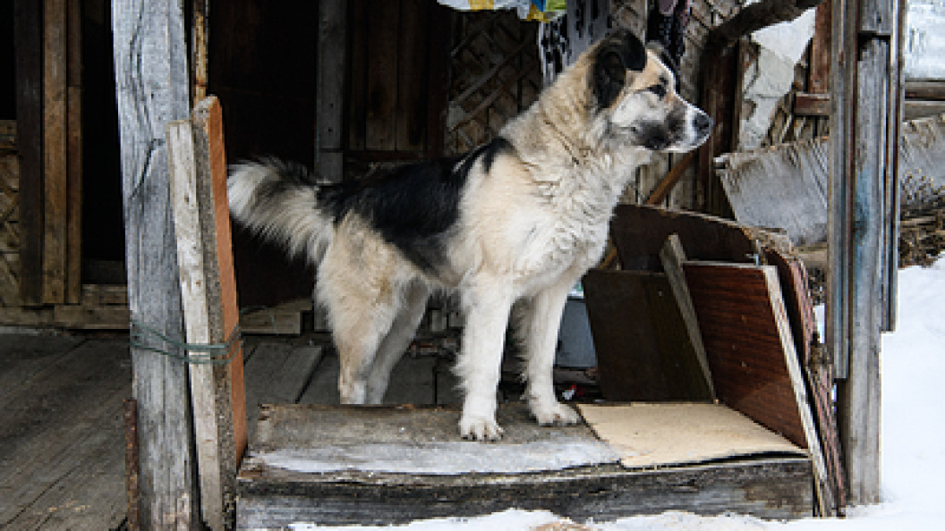    Ilya Moskovets/Globallookpress