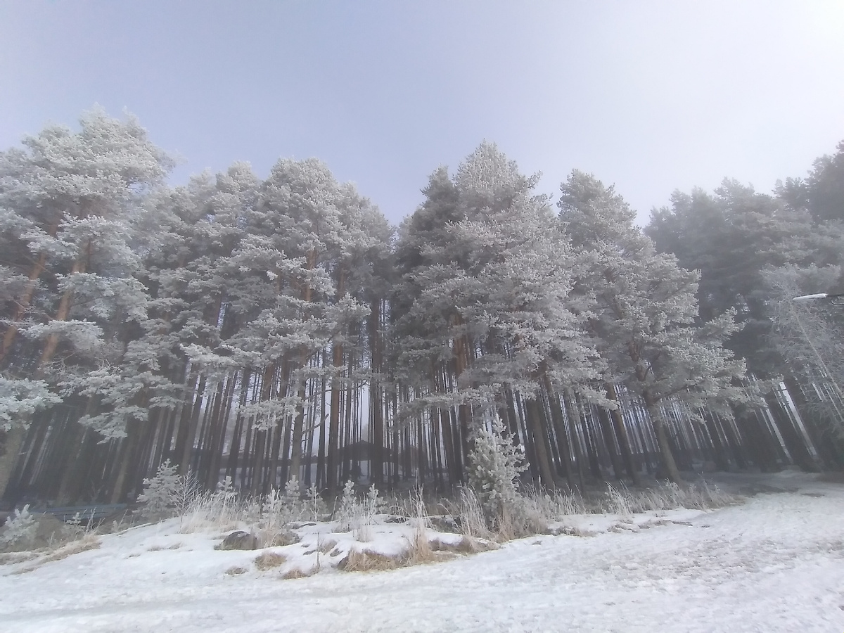 Фото автора (Пусть не будет преграды к цели).