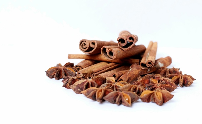    ФОТО: Elena Sikorskaya/Russian Look/Globallookpress