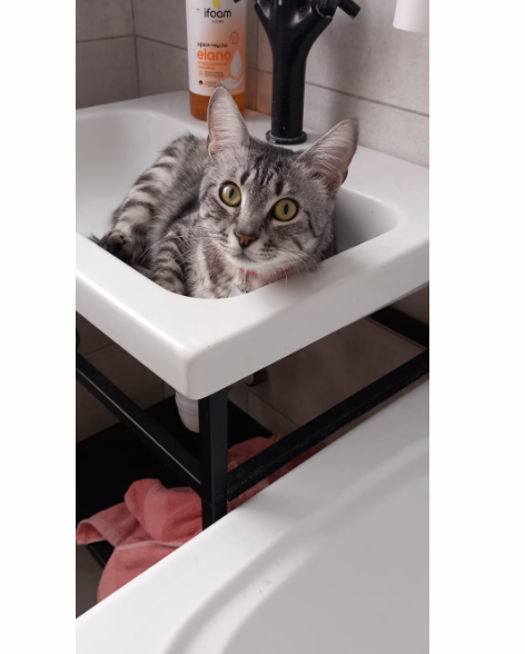 Плутон - сама невинность