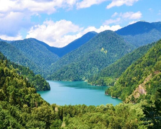    Фото: t.me/luchshepoezdom