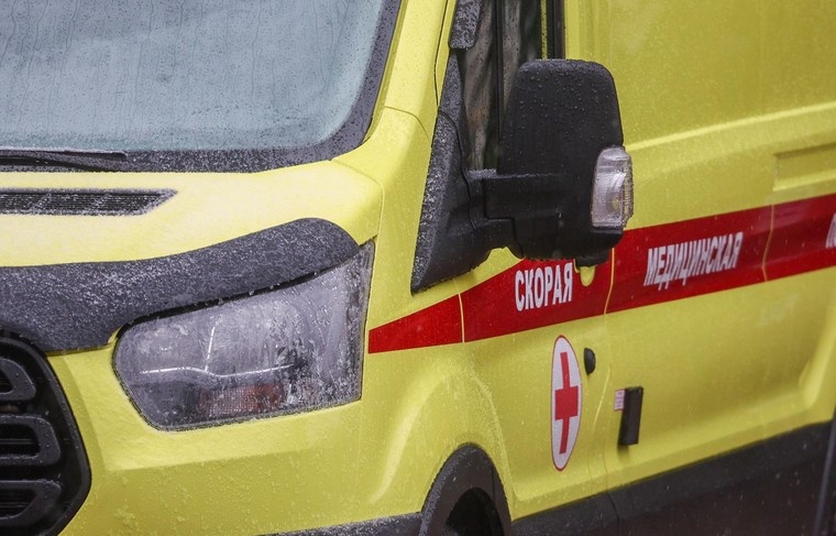    Наталья Шатохина/NEWS.ru