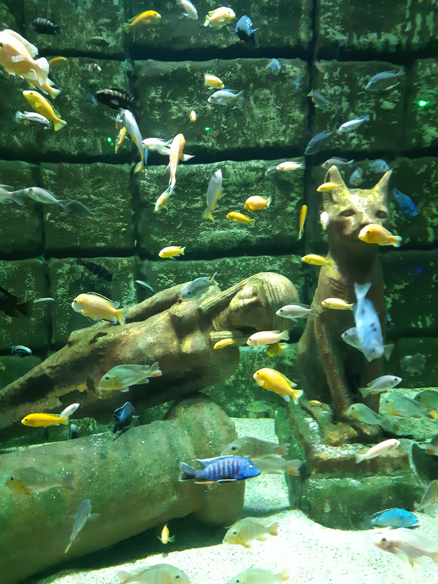 Личный архив