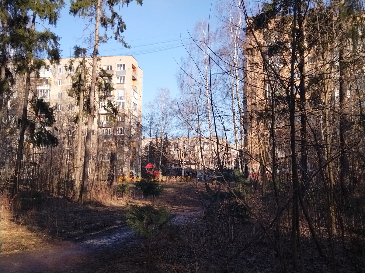 Верхний Комитетный лес