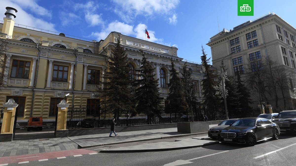    Фото: РИА Новости © 2025, Кирилл Каллиников