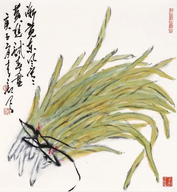 Лук-порей (韭菜, jiǔcài) . Источник изображения: baidu.com.