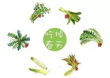 Источник изображения: baidu.com.