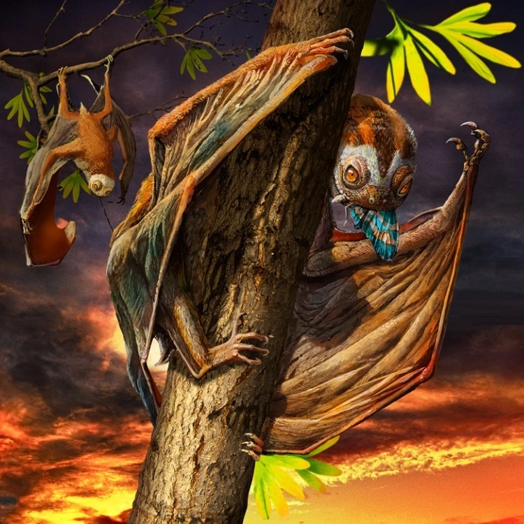 Реконструкция из статьи-первоописания