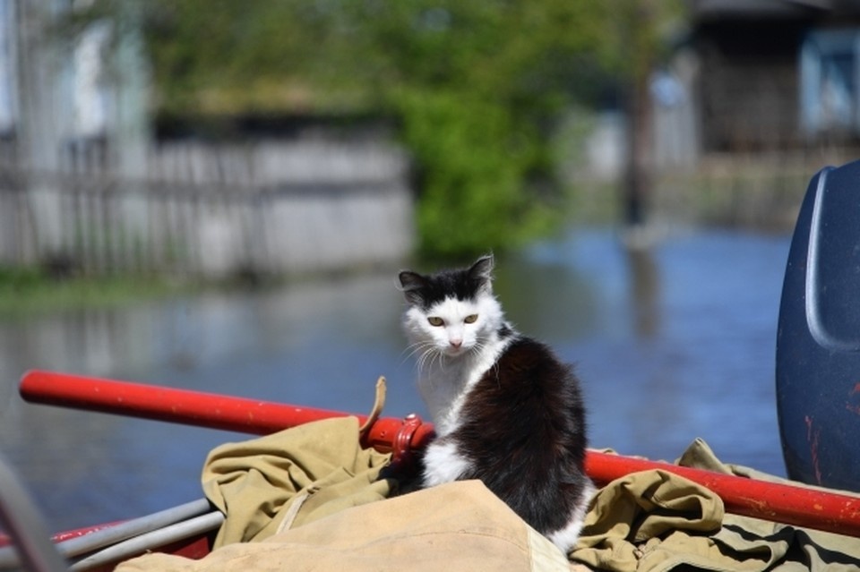    Половодье в Нижегородской области стало самым низким за всю историю наблюдений. Владимир ВЕЛЕНГУРИН