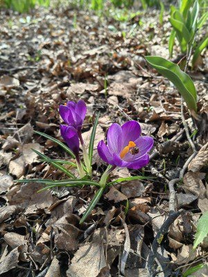 ФОТО ОрелТаймс  📷
