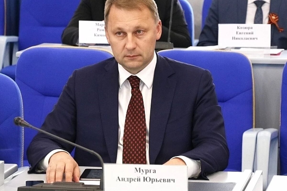    Выходец из бизнеса, Андрей Мурга, сделал головокружительную карьеру в политике.