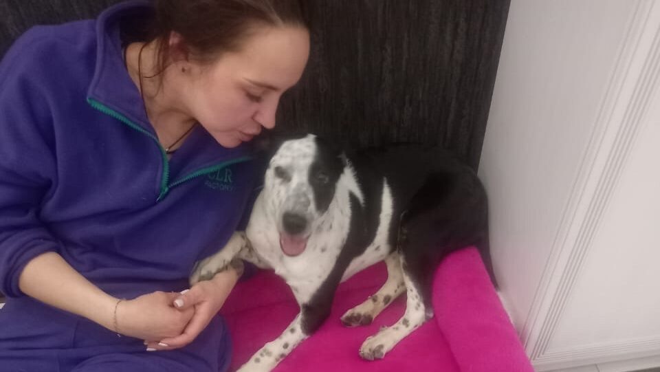    Новая хозяйка Таси. Фото: приют «Дорога добра»