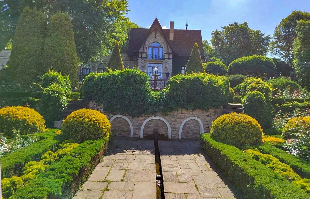 Разнообразие вечнозеленых растений.