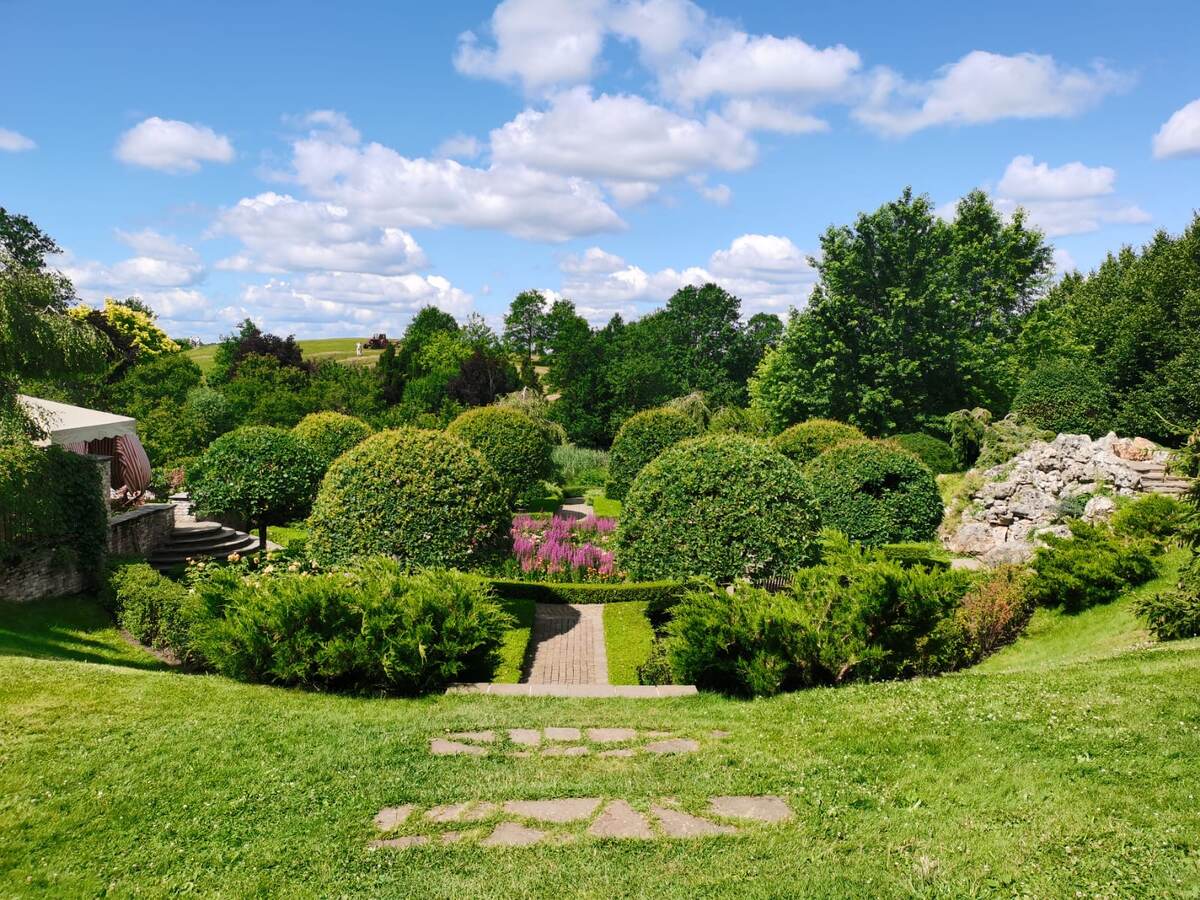 сад с минимальным уходом.