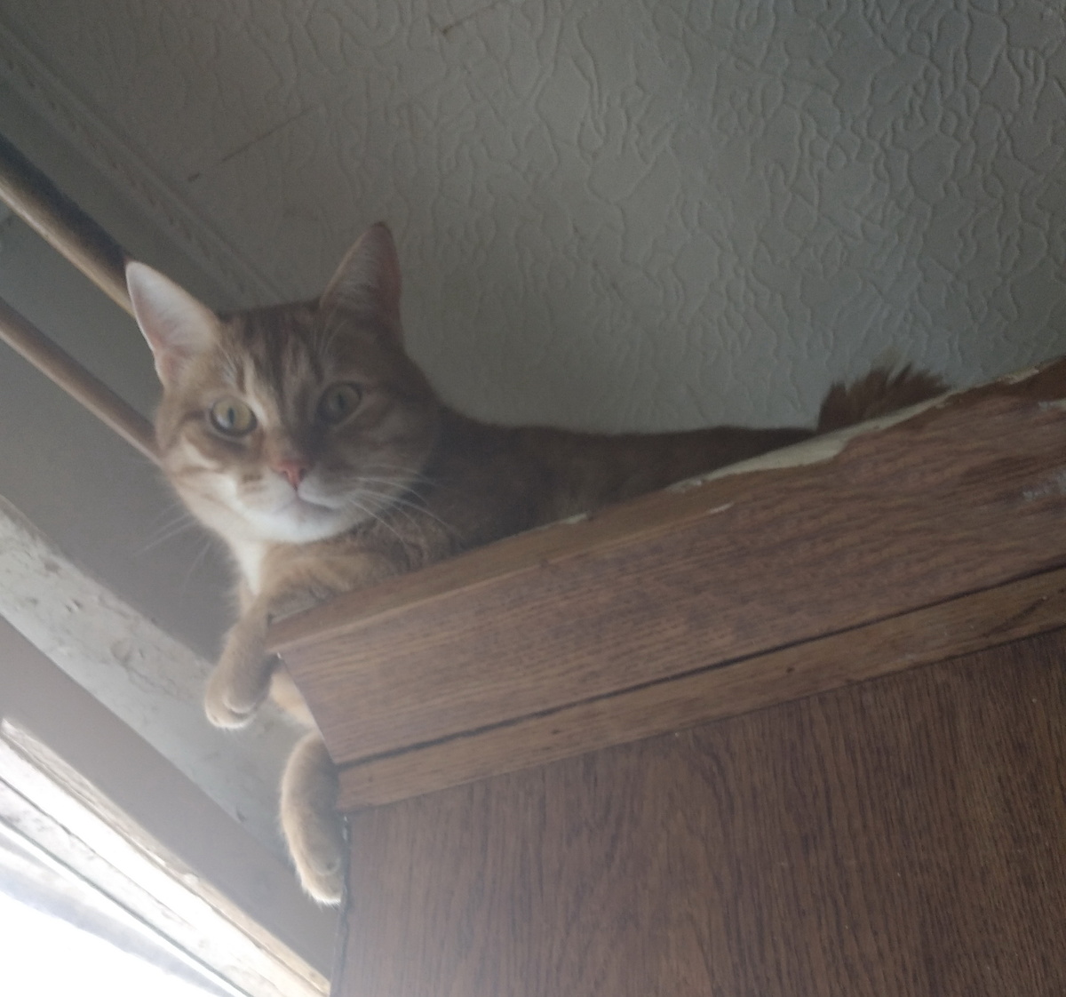 Личное  фото. 