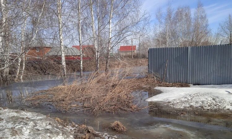 Фото: телеграм-канал «Омский новостной поезд»