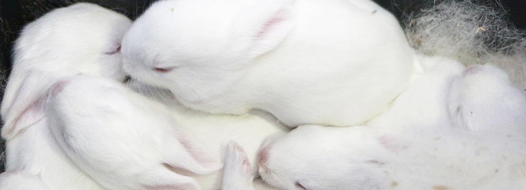    Фото: пресс-служба БелГУ