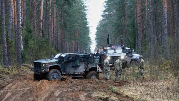    © AP Photo / Mindaugas Kulbis