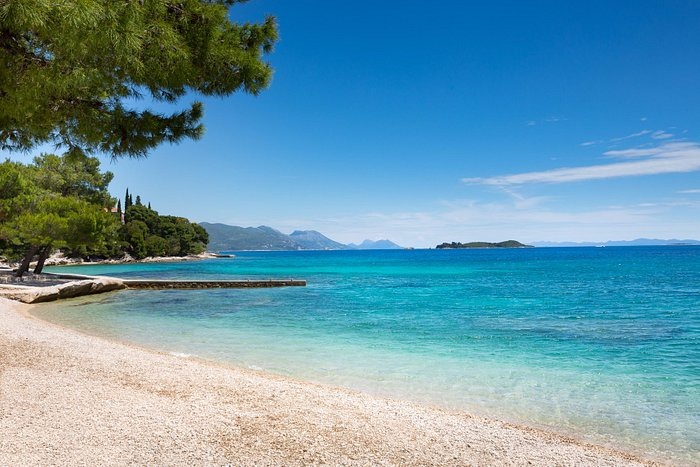 Фото взято из открытого источника