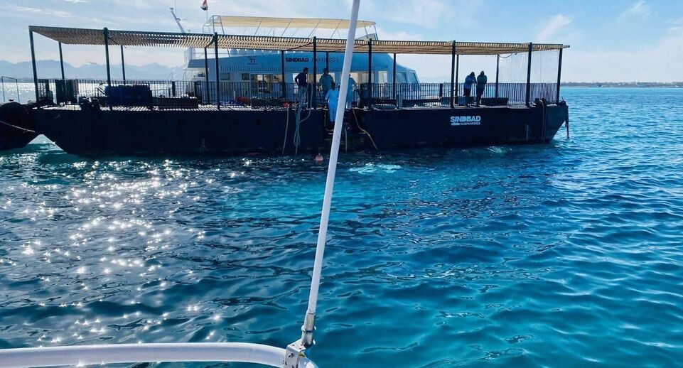    Ali Awad/ XinHua / www.globallookpress.com