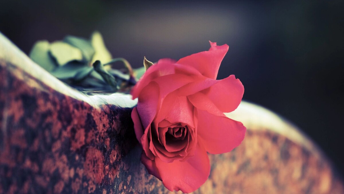    Фото: wrangler/Shutterstock/Fotodom