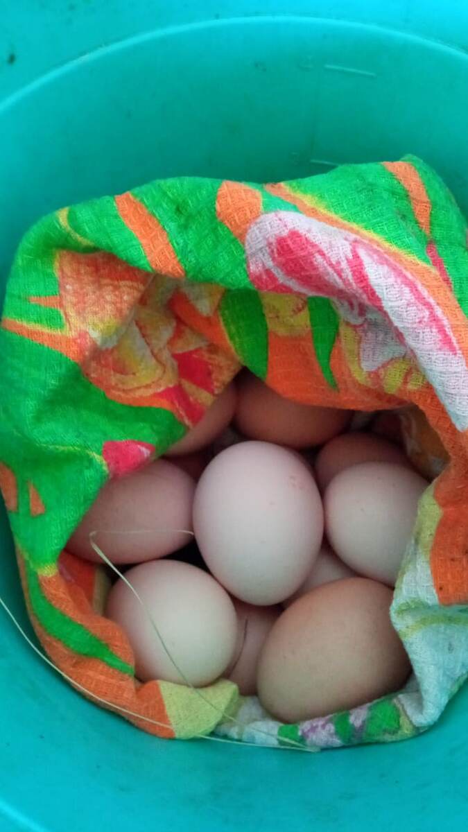 В день получалось собрать от 9 до 16 штук. Фото автора 