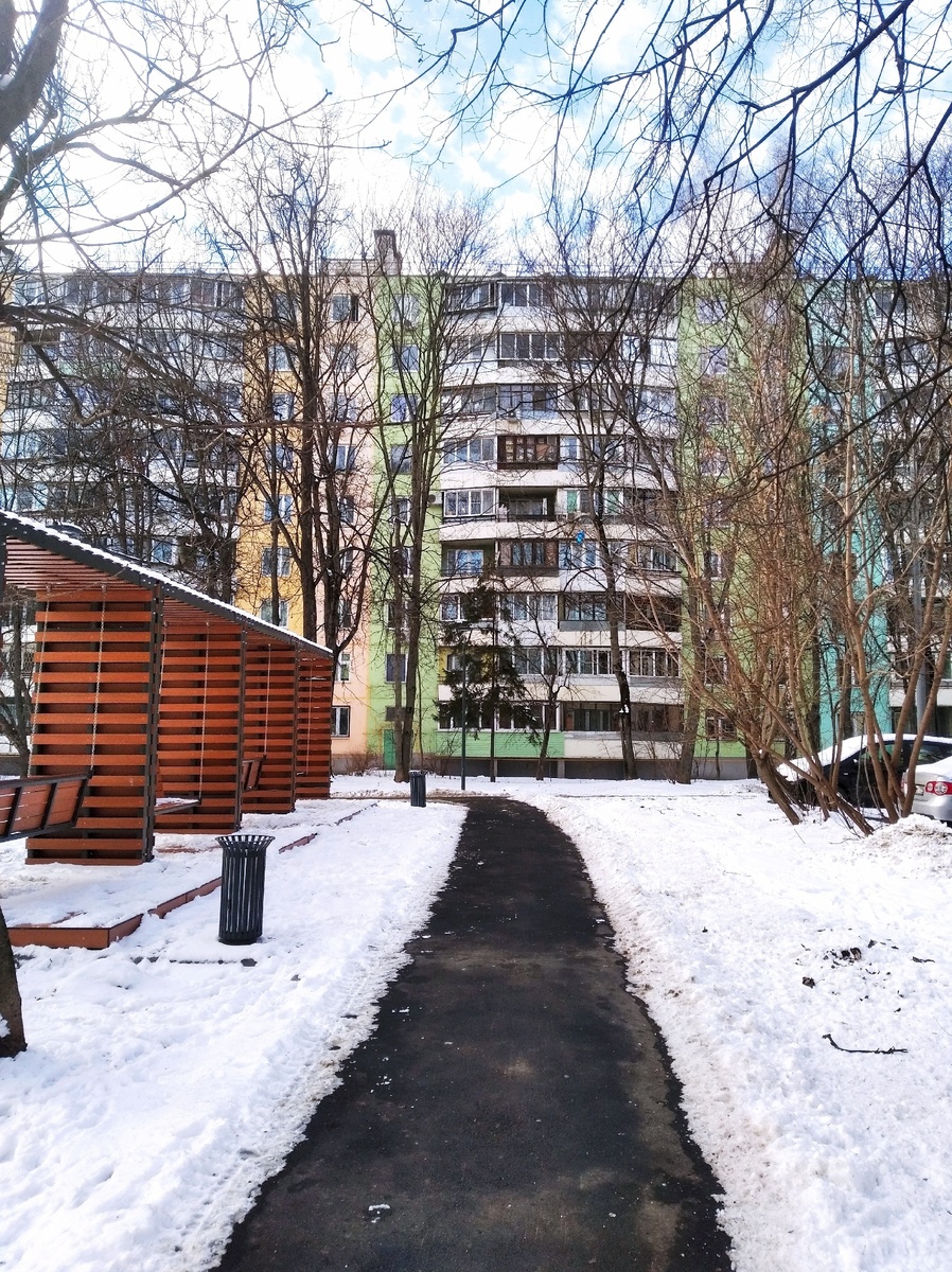 Мое фото. Я фотографировала.