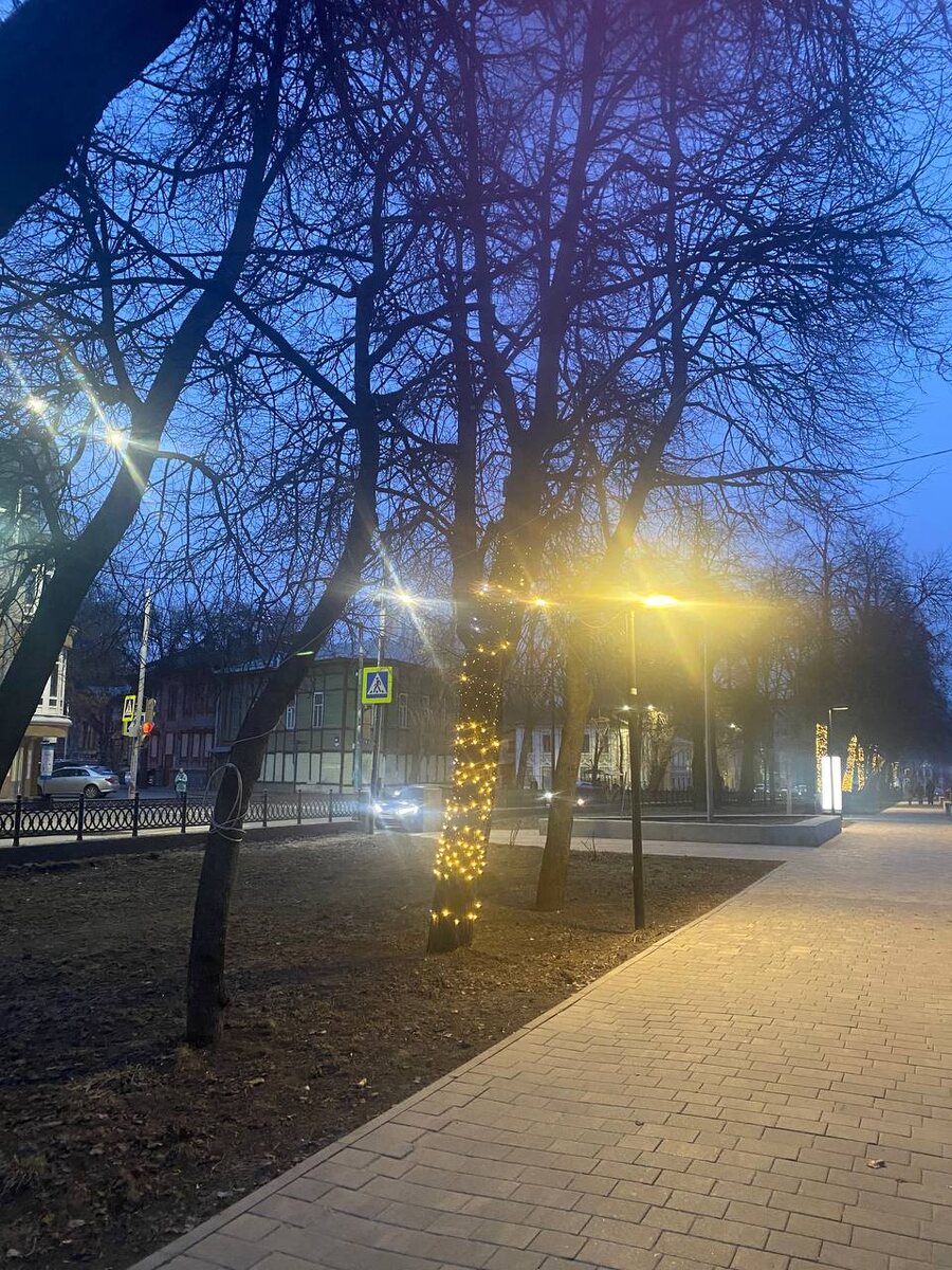  Звездинка вечером. Прогуляемся?