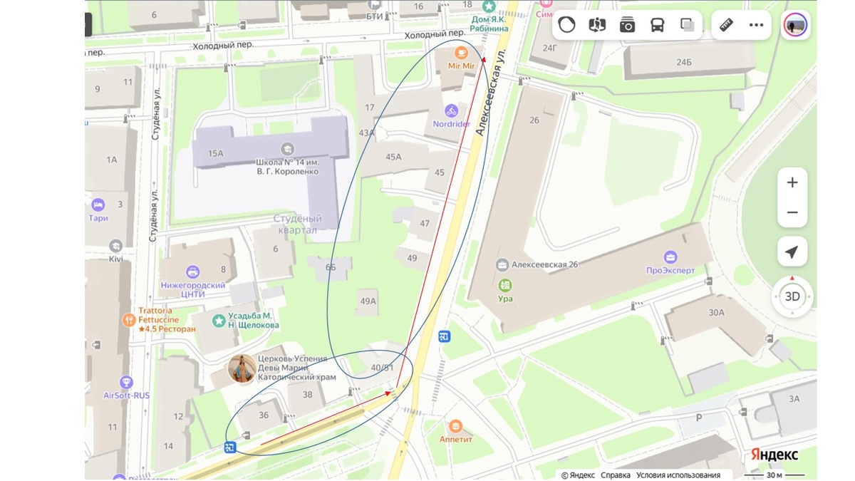 Мы познакомимся с домами № 36 и 38 по Звездинке, угловым домом 40/51, домами 49А, 49, 47, 45, 45А,43, 43А и 41 по Алексеевской