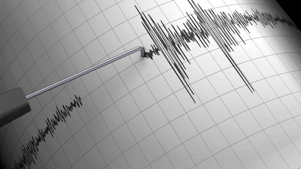    Фото: McCarony/Shutterstock/Fotodom