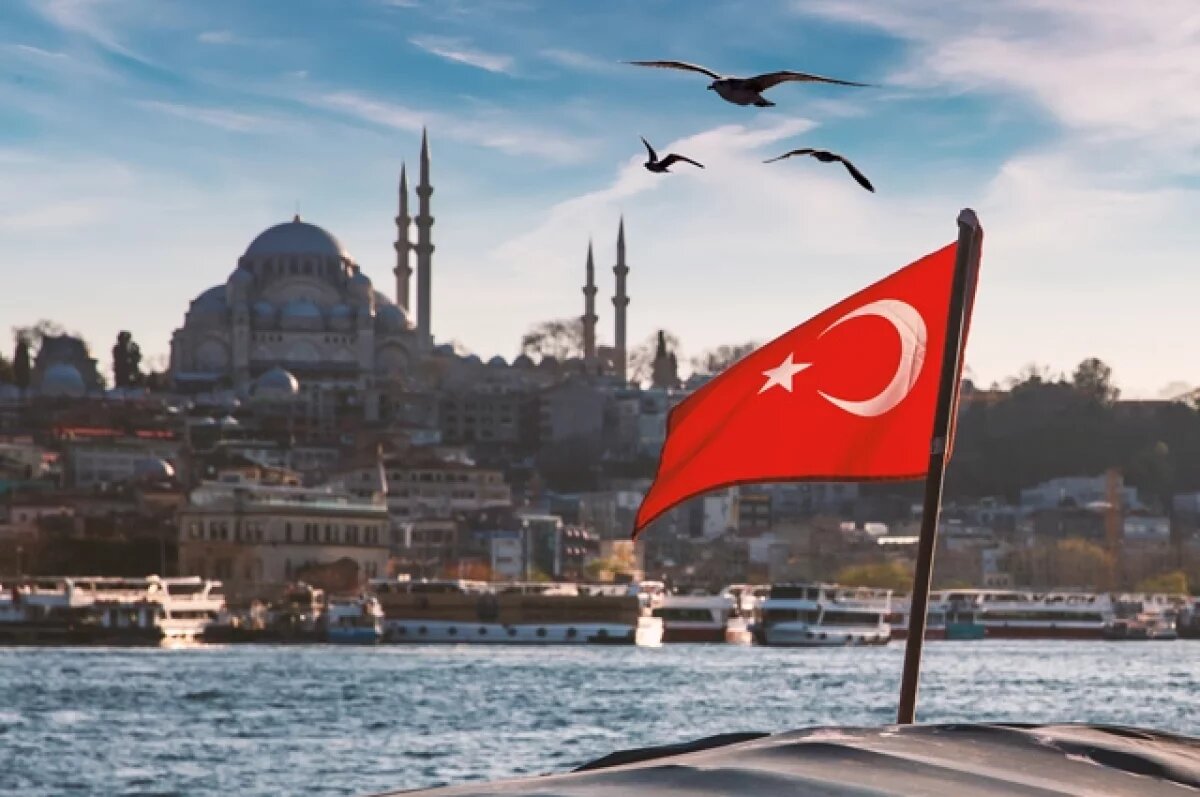    Отдых и протесты.