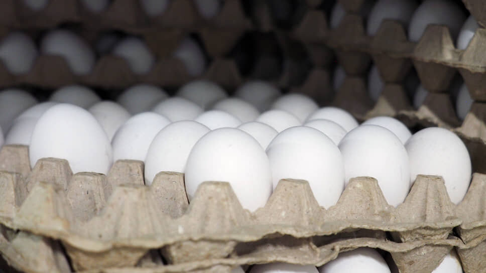 Фото: Евгения Яблонская / Коммерсантъ