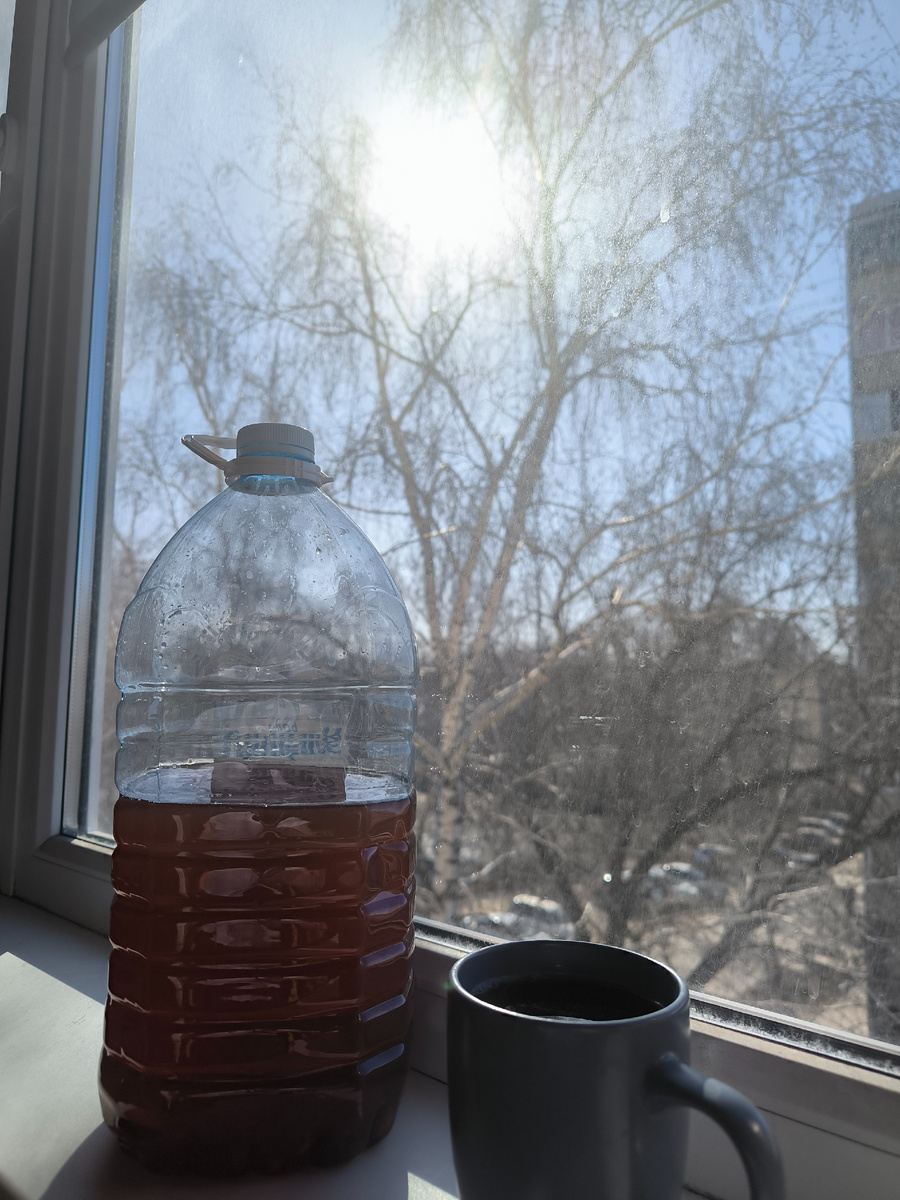 Все фотографии в статье авторские. 