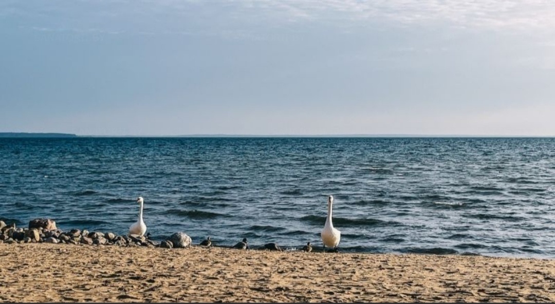 Заповедная природа