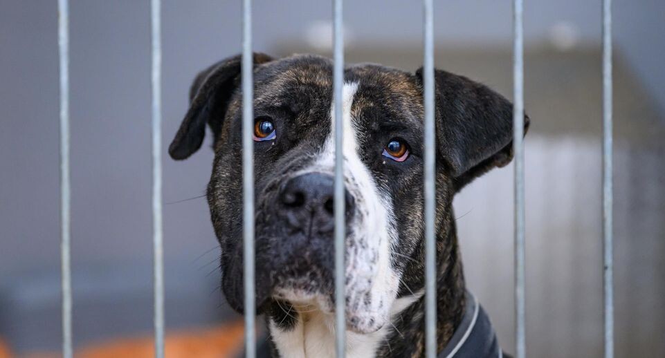    Patrick Pleul/dpa / www.globallookpress.com