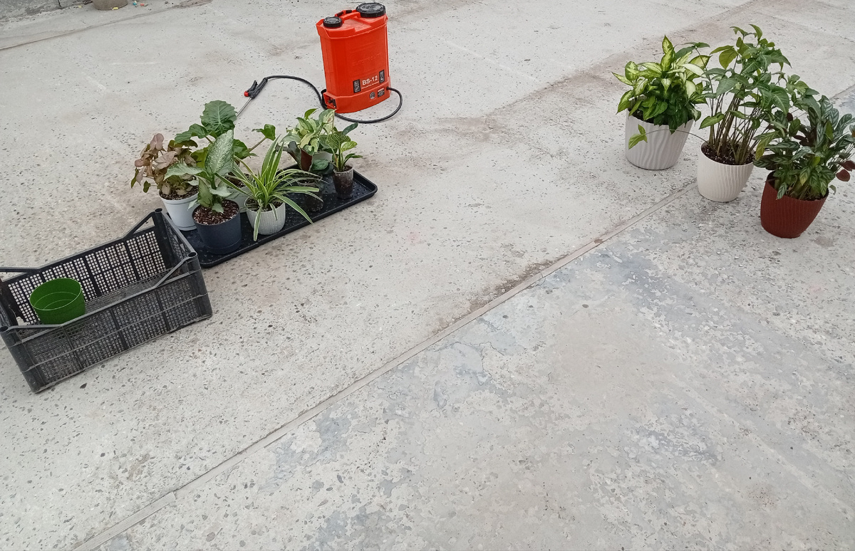 Хорошо, что погода позволила сделать это на улице