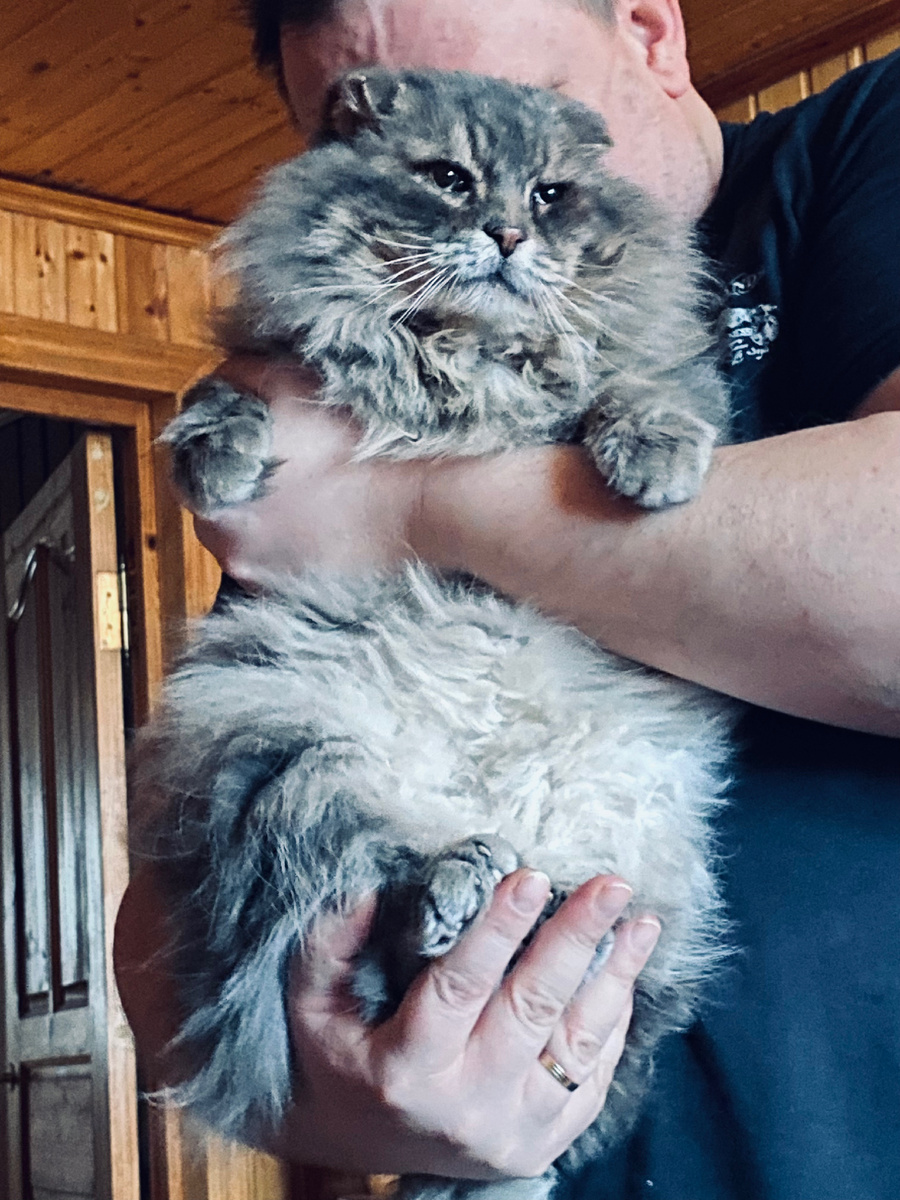 Филю несут на обнимашки. 