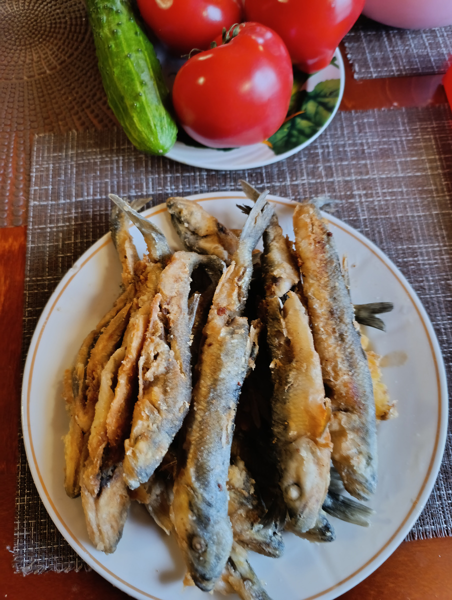 Все фото автора. 